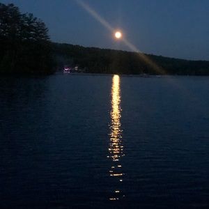 Meet your Posher, Desirea